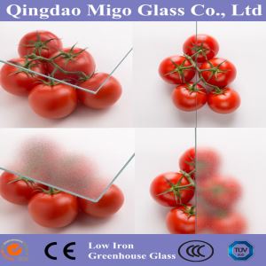 Kính khuếch tán cho nhà kính