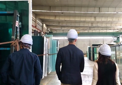 Khách hàng Bỉ ghé thăm MIGO GLASS để kiểm tra nhà máy, triển khai quan hệ đối...
