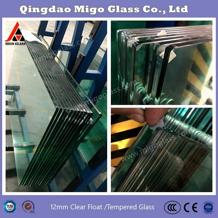 Glass Pool Fencing